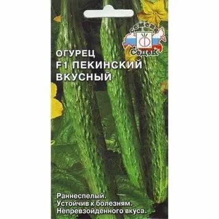 Огурцы пекинский