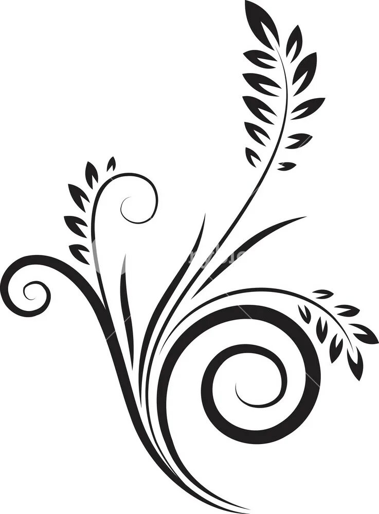 Leaf flower curl. Leaf flower curl