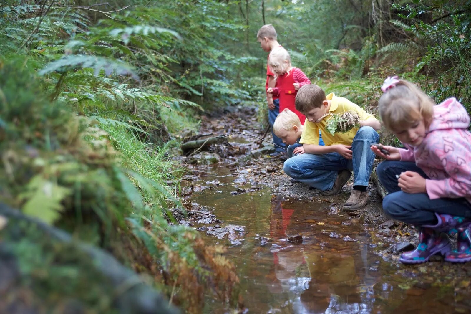 клещи в лесу. опасные и экстремальные ситуации. противопожарный режим в лесах. проект опасности в лесу. плотная одежда на человеке в лесу.