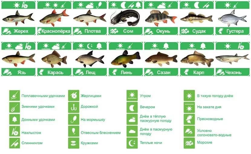 Рыбалка таблица клева. Оптимальное давление для рыбалки. Давление для рыбалки зимой. Самое хорошее давление для рыбалки.