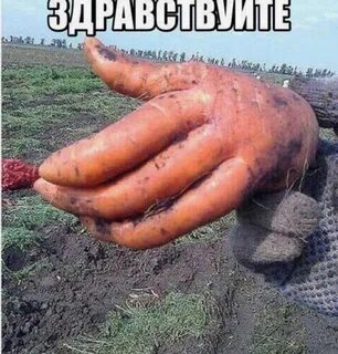 Угарные картинки с надписями