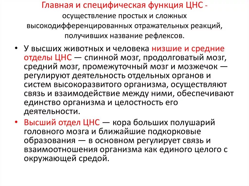 Функции отделов ЦНС. Функции центральной нервной системы. Главная специфическая функция это. Функции ЦНС таблица.