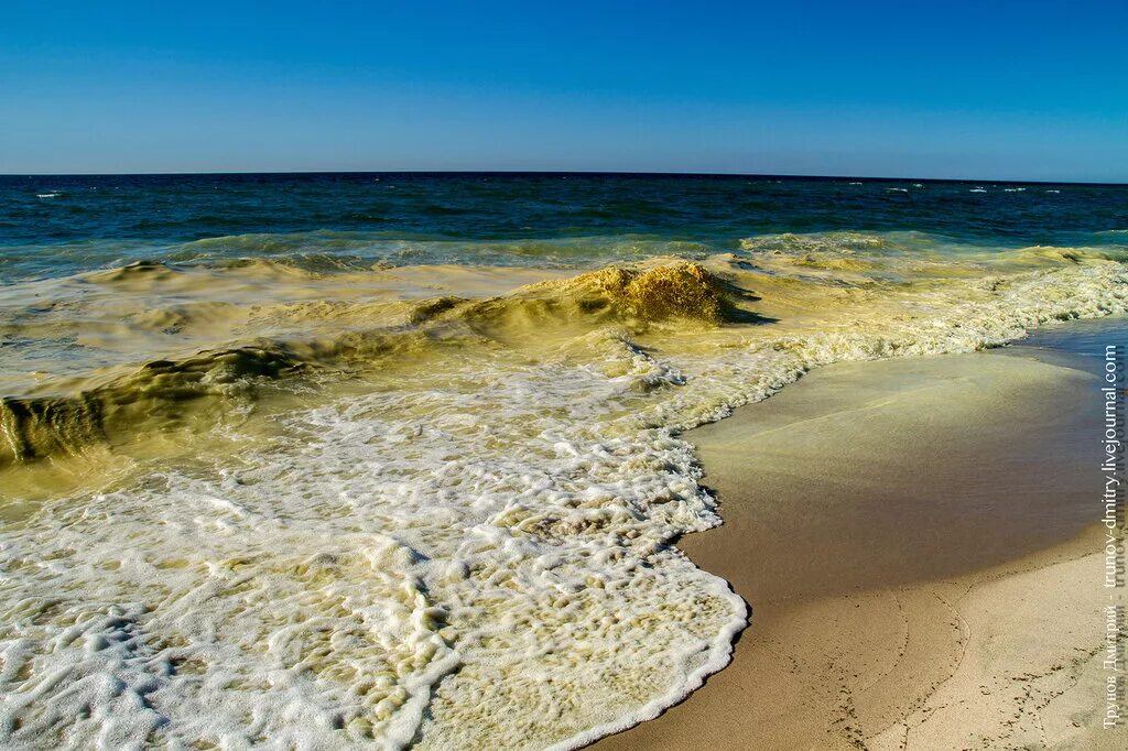 Балтийское море желтое. Балтийское море фото. Цвет Балтийского моря. Балтийское море волны.