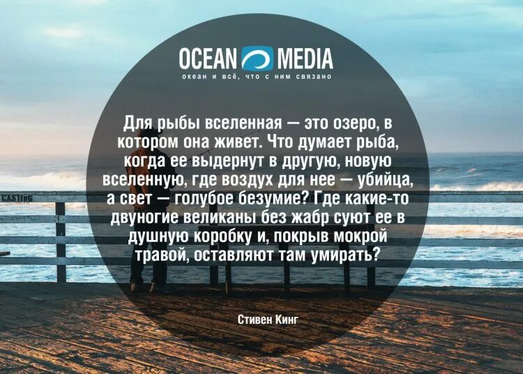 Океан время работы. Цитаты про рыб. Фразы про рыбу. Красивые фразы про океан. Афоризмы про рыбу.