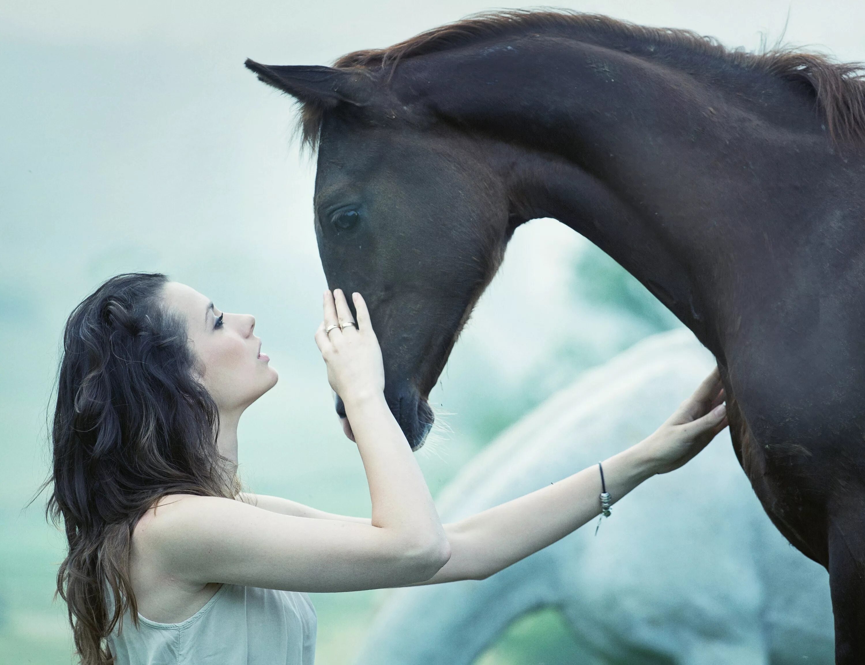 Учительница кони. Женщина на лошади. Девушка гладит лошадь. Брюнетка на лошади. Девочка на лошади.