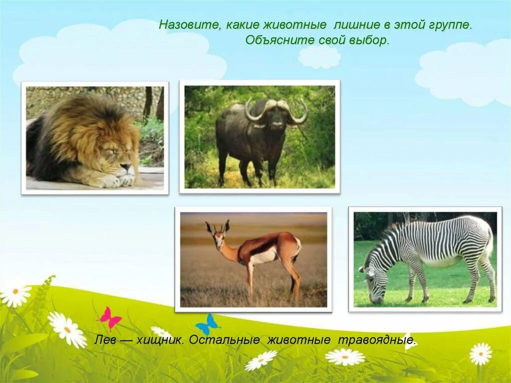 Объясни каких животных называют дикими а каких. Какие животные лишние. какая группа животных лишняя. викторина животные кто лишний. травоядные 94.