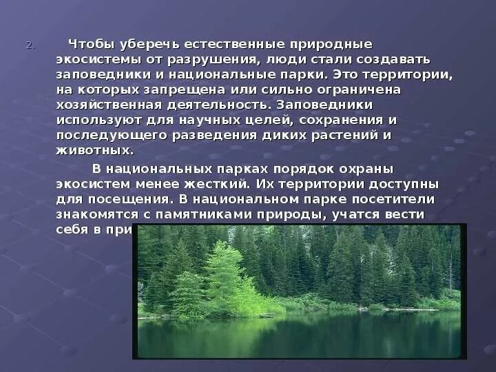 Создание заповедников. Зачем нужны заповедники и национальные парки. Вывод зачем нужны заповедники. Зачем нужны заповедники. Вывод для чего нужны заповедники.