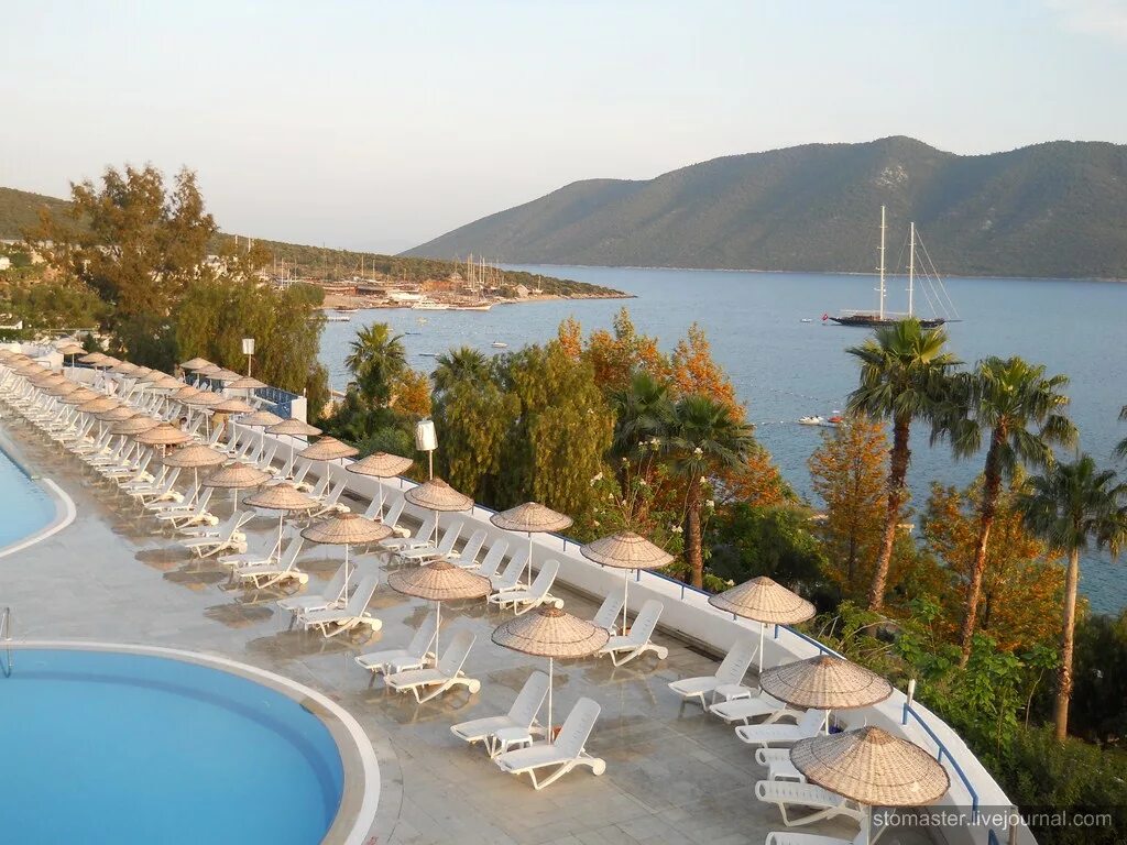 Бодрум Холидей Резорт. Бодрум Холидей Резорт 5. Отель Bodrum Holiday Resort Spa 5. Бодрум Холидей Резорт спа 5 Турция. Holiday бодрум