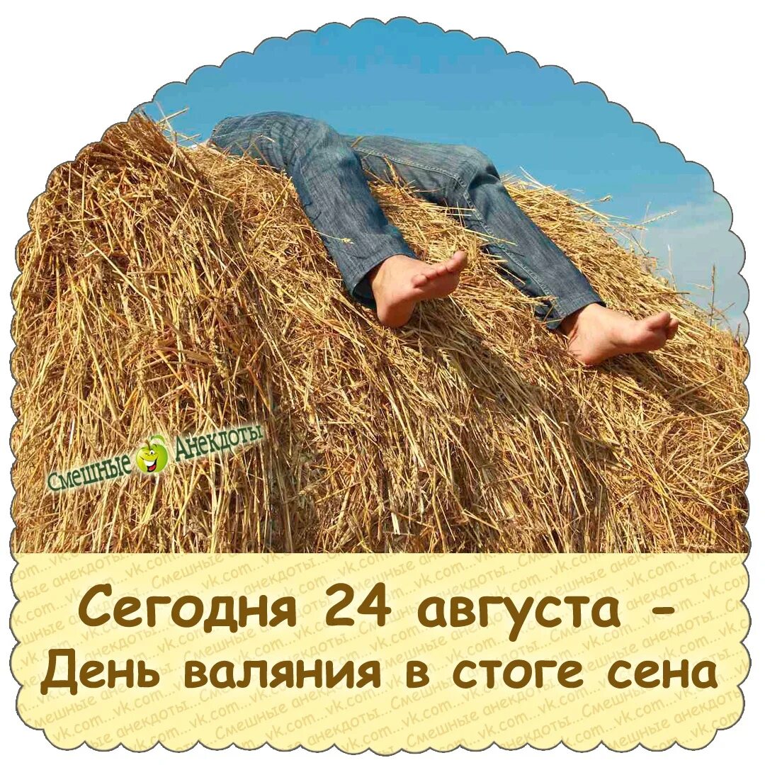 Слова на сене. Скирда сноп. Слова на сене. Сено слово. Фотосессия в соломе.