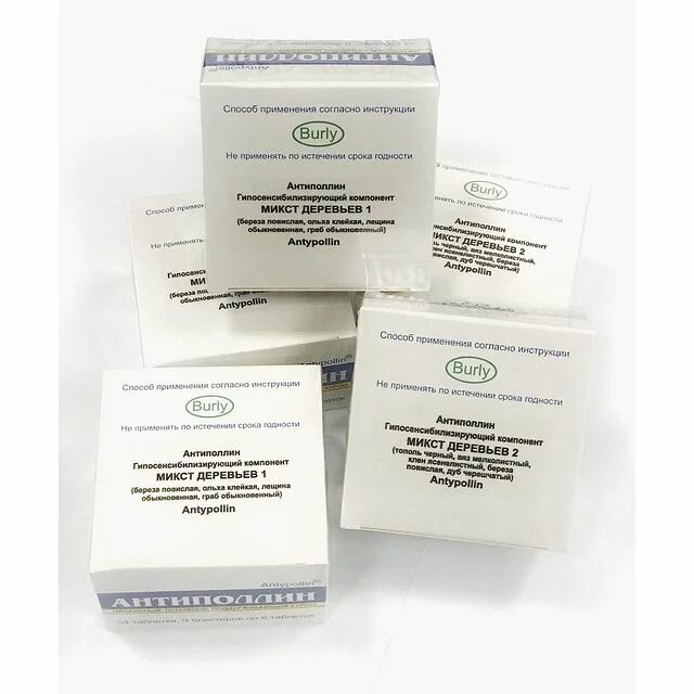 антиполлин береза повислая