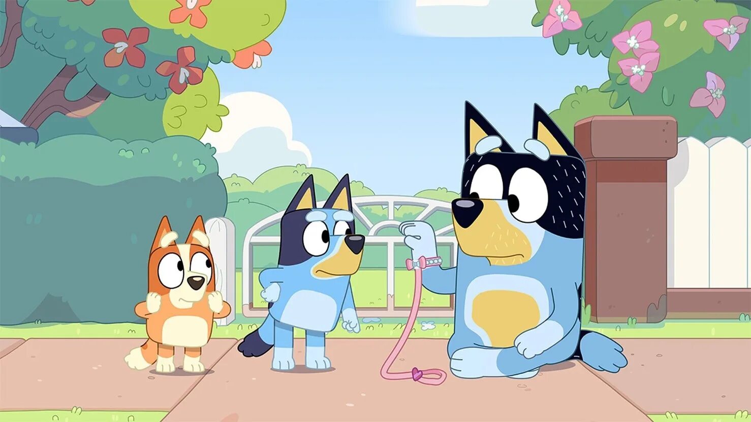 Джо брумм bluey. Bluey 2019. Блуи bluey. Bluey мультсериал. Bluey мультсериал.