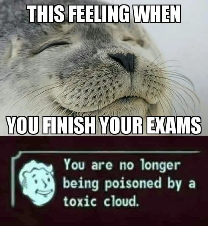 When you know your examination. When you finish. токсик мем. exam memes. you are toxic meme.