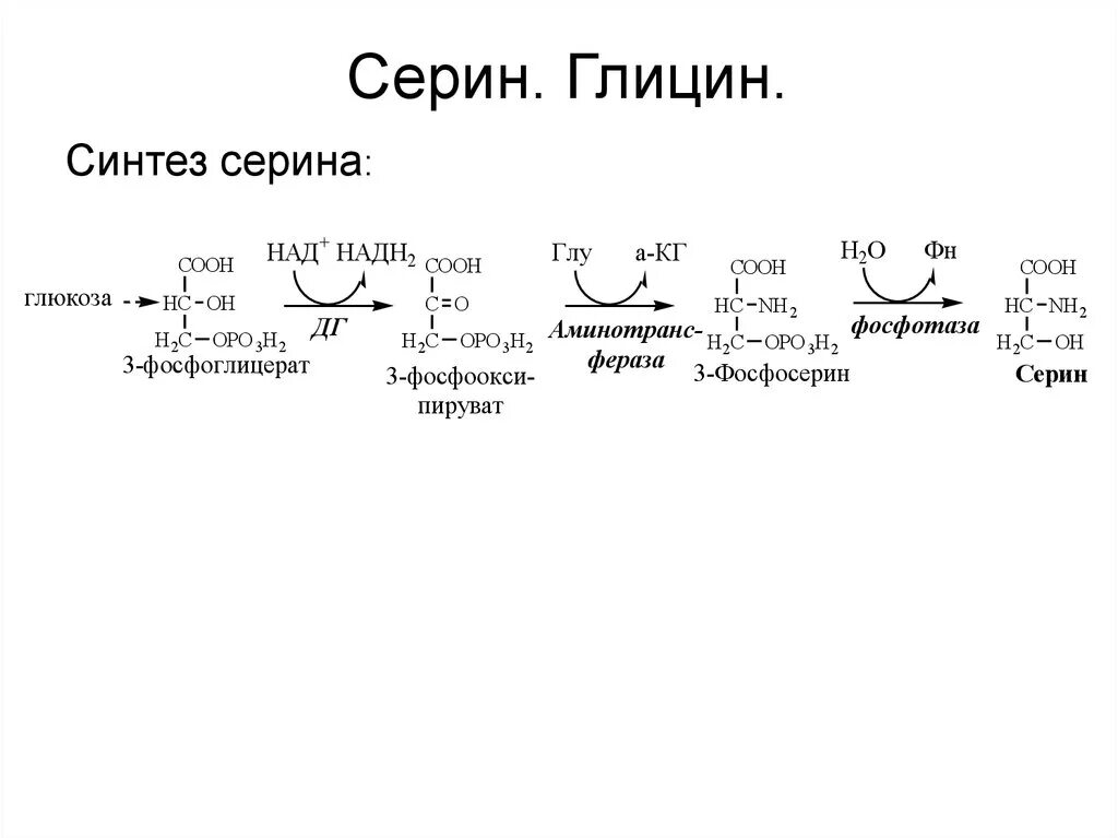 Синтез Серина РЗ глицина. Реакция образования Серина из глицина. Реакция синтеза Серина. Образование Серина биохимия. Напишите реакцию глицина