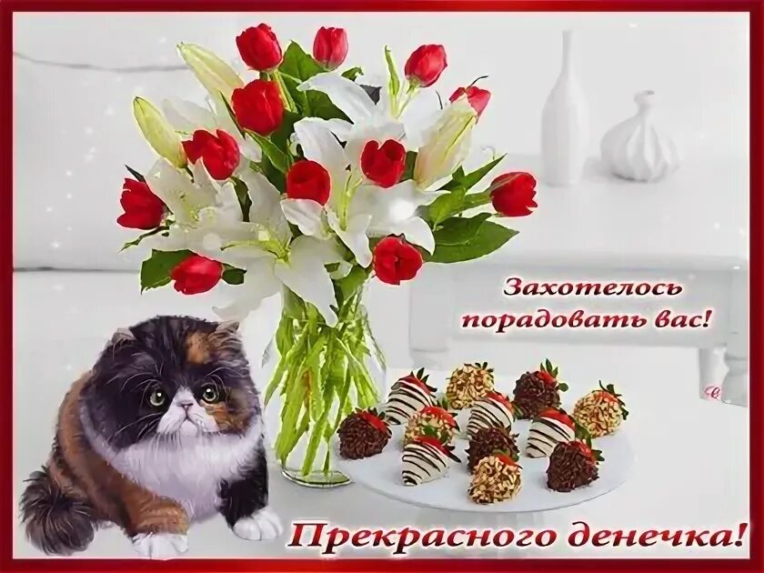 Обрадованные такими приятными надеждами мы
