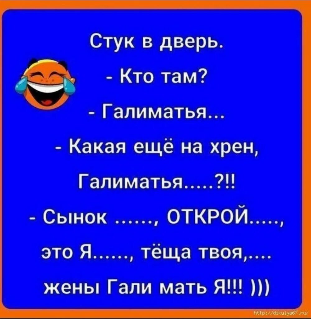 Анекдот про галю. Анекдоты. Анекдот. Галиматья анекдот. Анекдоты самые смешные.