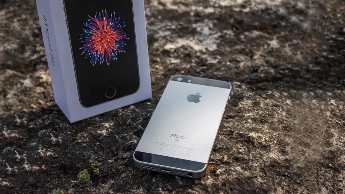 Apple iphone se. Iphone se 1-го поколения. Айфон se 2020 серый. Айфон se 1 2019.