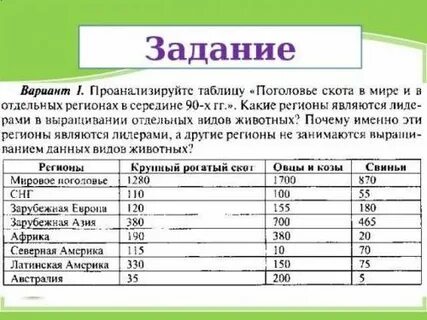 Первое место в мире по поголовью свиней