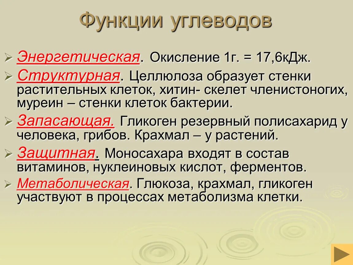 Укажи функции углеводов. Важнейшие функции углеводов. Структурная функция углеводов. Перечислите основные биологические функции углеводов. 6 Функции углеводов.