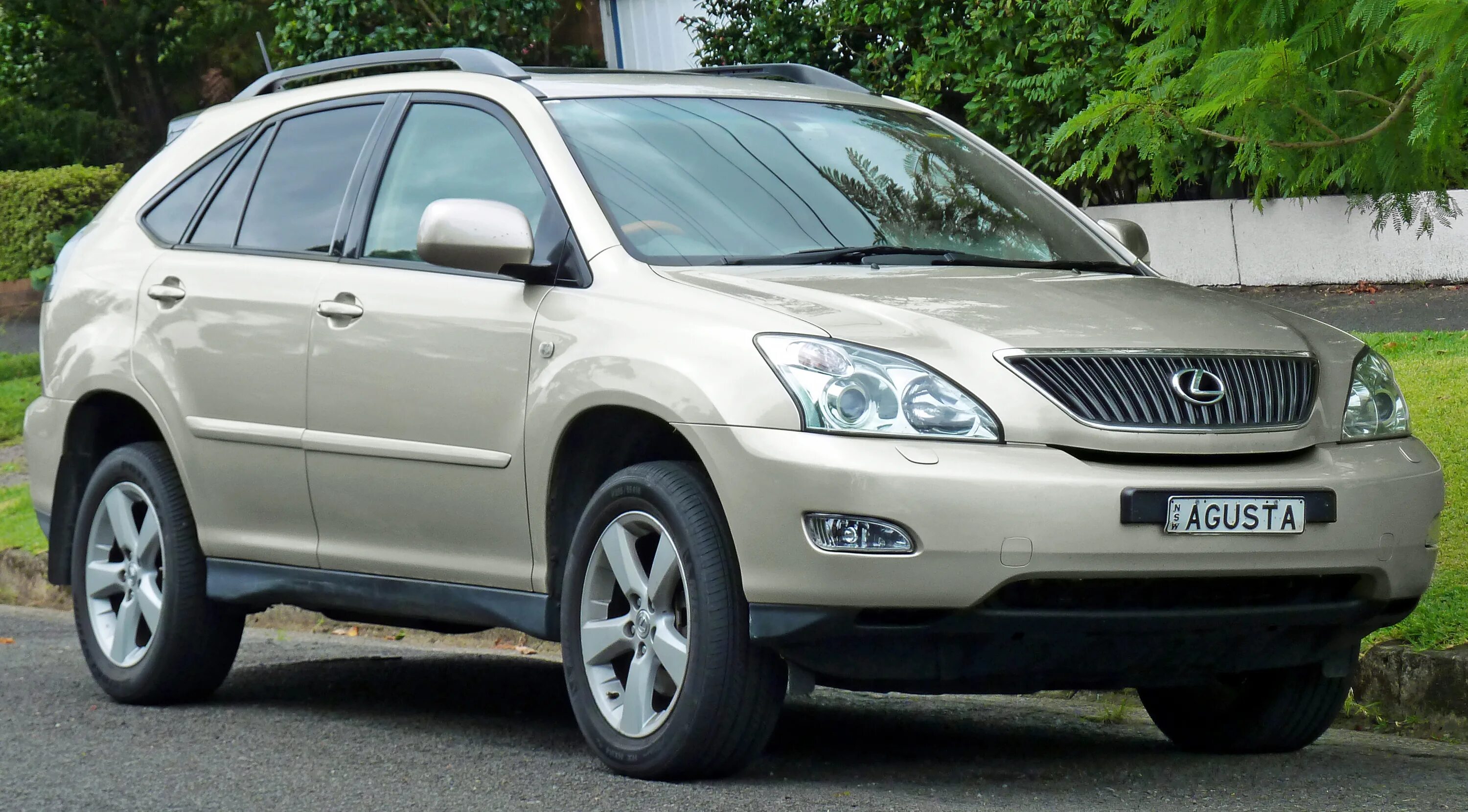 Лексус rx300 2. Лексус рикс 330. лексус рх 300 1 поколение. lexus rx300 2005. лексус рикс 300 2005.