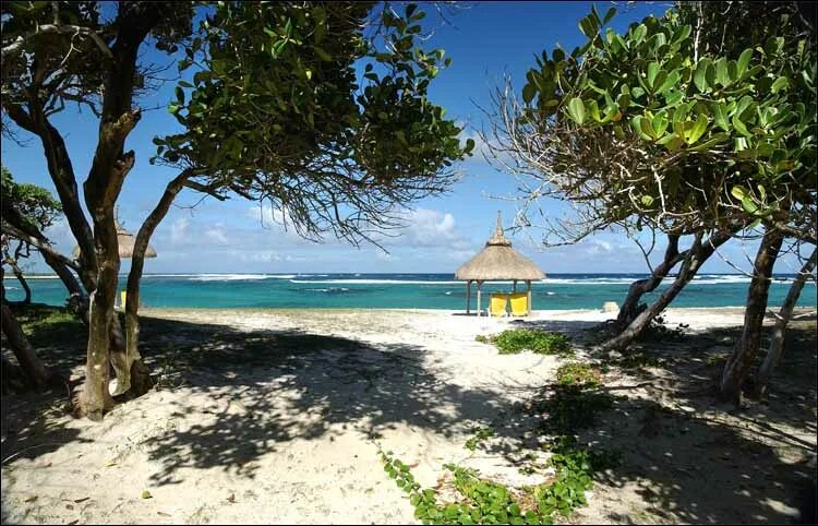 маврикий температура сейчас. маврикий температура сейчас. маврикий температура сейчас. маврикий пляжи. маврикий в январе.