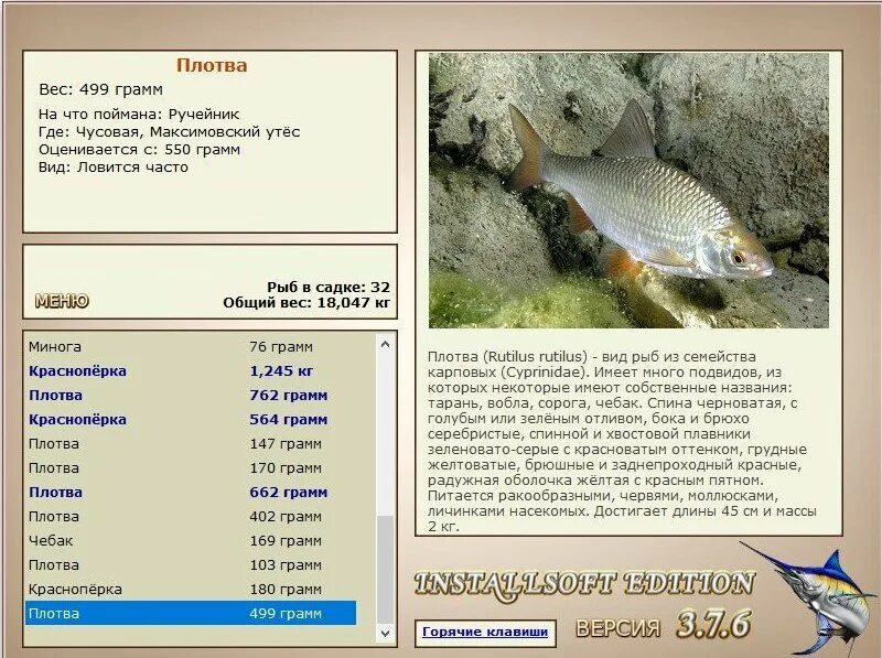 Чебак красноперка. Наловил плотвы. Снасть на тарань. На что ловить плотву. Сорога красноперка плотва вобла.