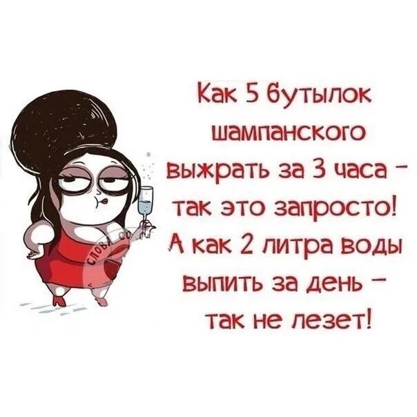 Сколько бутылок шампанского выпил ноздрев. Как выпить. 5 Бутылок шампанского. Как выпить две бутылки шампанского картинка.