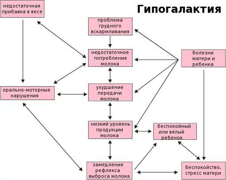 Гиполактия. Гипогалактия причины и профилактика. Гипогалактия этиология. Основные симптомы гипогалактия у ребёнка. Причины первичной гипогалактии.