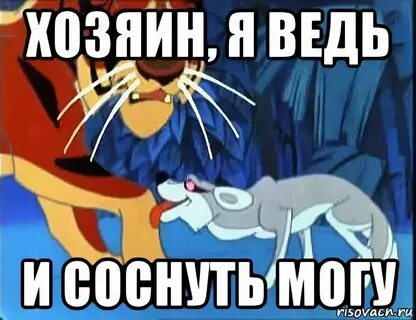Да ведь это