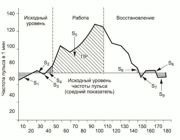 Работа функциональная сердечно сосудистая проба. График функциональной сердечно-сосудистой пробы. Функциональная сердечно-сосудистая проба таблица. Функционально сердечно сосудистая проба практическая работа. График функционально сердечно сосудистой пробы.