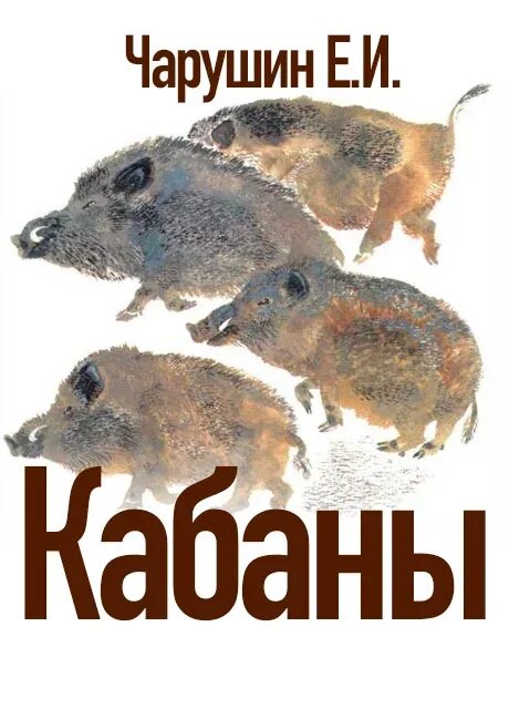 Произведение кабан. Рассказ Чарушина кабан. Рассказ о кабане. Главный герой произведения кабан