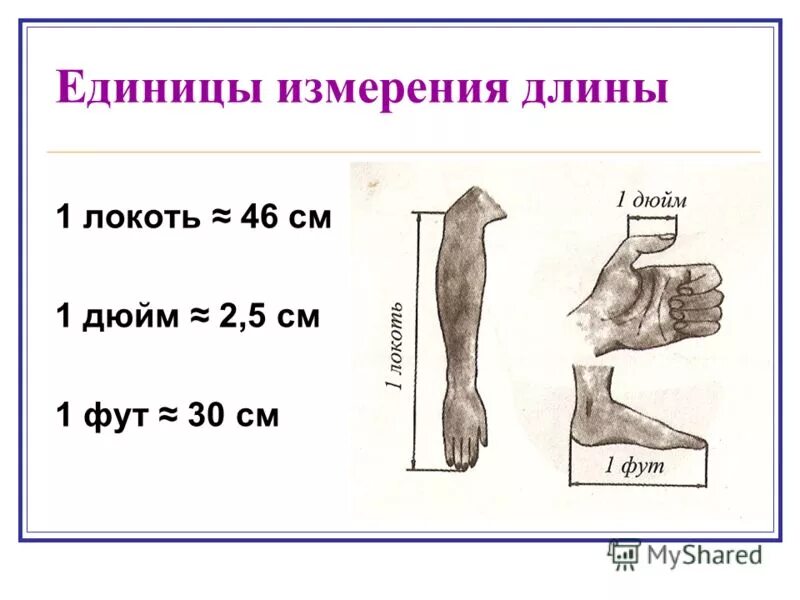 Пять футов это. Фут мера длины. Фут и дюйм. Сантиметр мера длины. Меры длины дюйм фут.