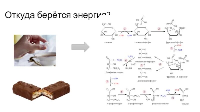 Откуда берется атф. Откуда берется энергия. Откуда берётся энергияя. АТФ откуда берётся энергия. Откуда берется мощность.