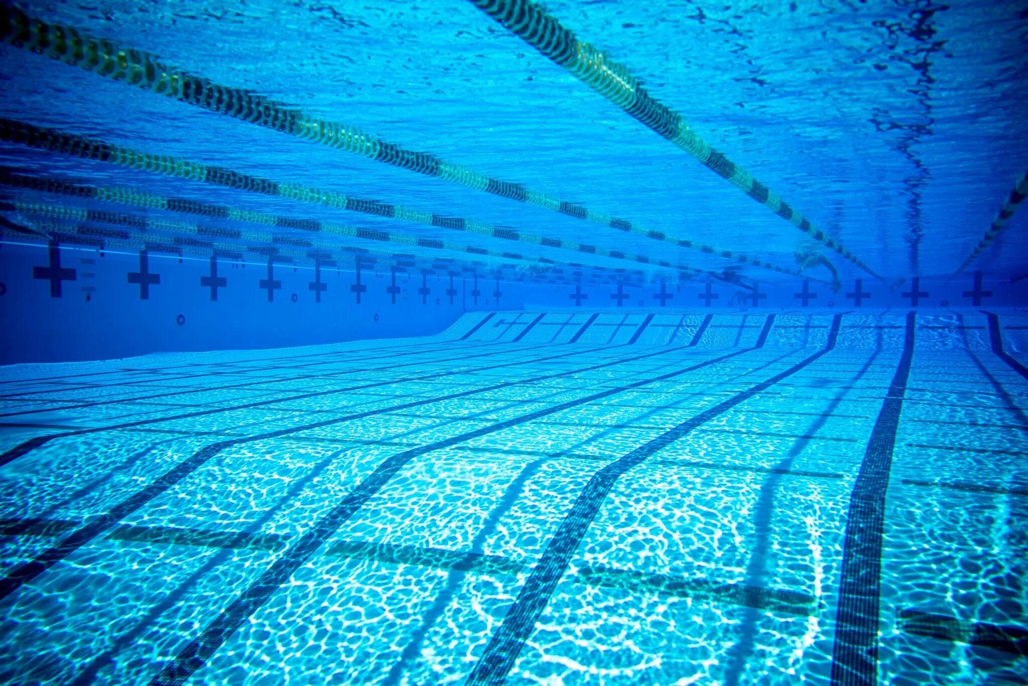 Купить плавательный бассейн. Плавательный бассейн кит. Swimming Pool. Tread Water in the swimming Pool. Working hours of swimming Pool картинки.