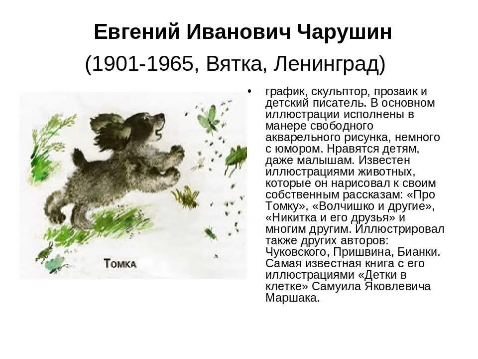 Рассказы про животных 3 класс. Произведения е чарушина для 4 класса.