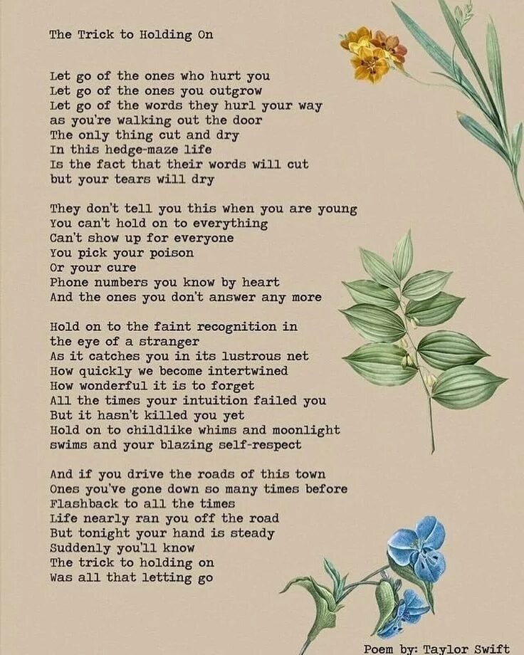 She is the poem. Taylor Swift poems. Текст Taylor. Swift текст. Тексты песен Тейлор Свифт.