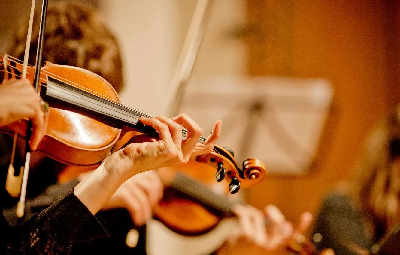 Скрипка красивая музыка слушать. Тюрингский фестиваль Баха. Скрипка в оркестре. Скрипичный концерт. Концерт со скрипкой.