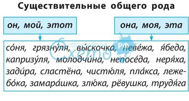 Примеры общего. Имя существительное общего рода примеры. имена существительные общего рода таблица. имена существительные общего рода примеры. слова имен существительных общего рода.