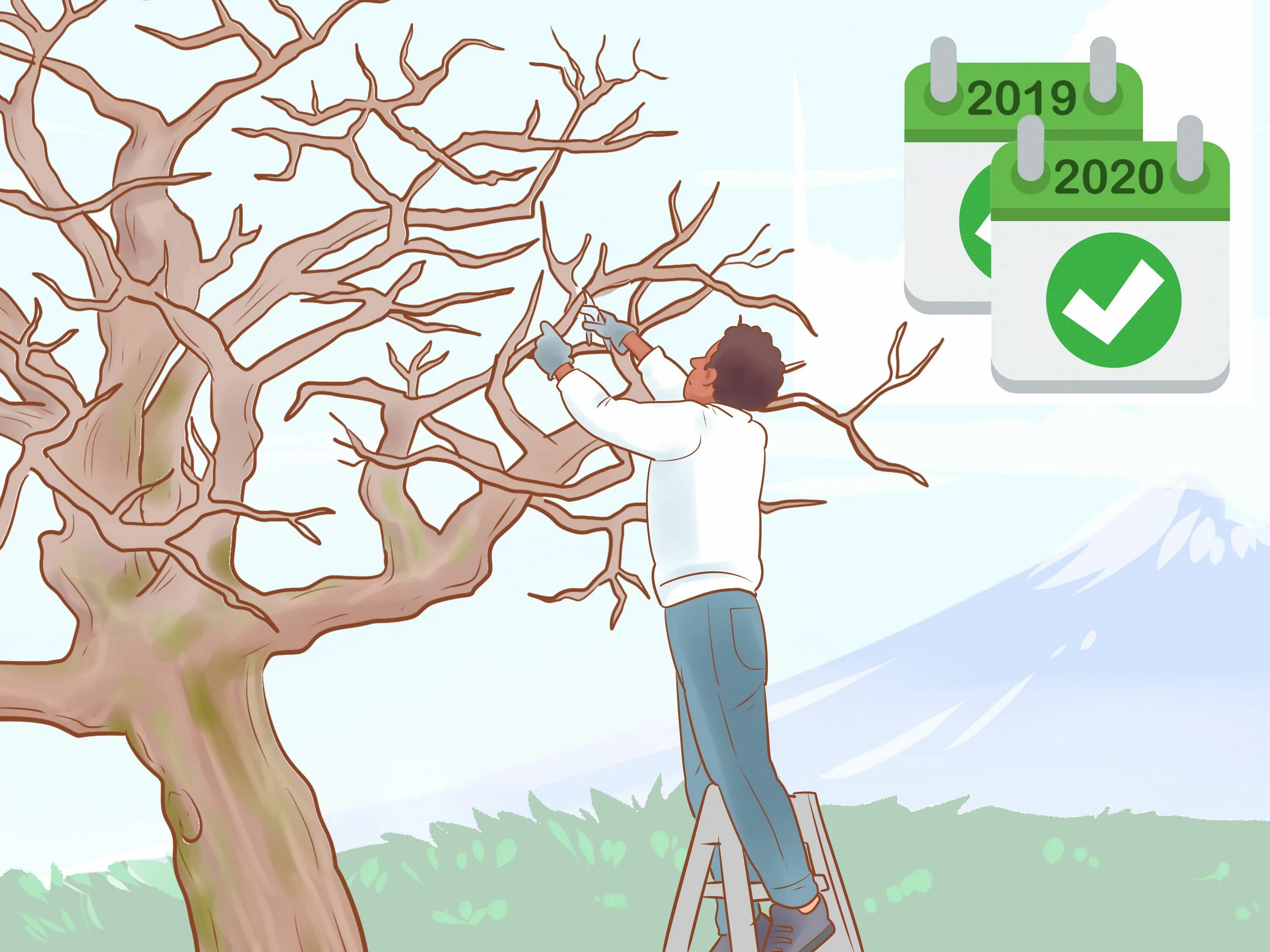 3 trees перевод. Ясень пенсильванский высота и диаметр кроны. Nature assets. Лиственные деревья. Зонт ondo arbol.