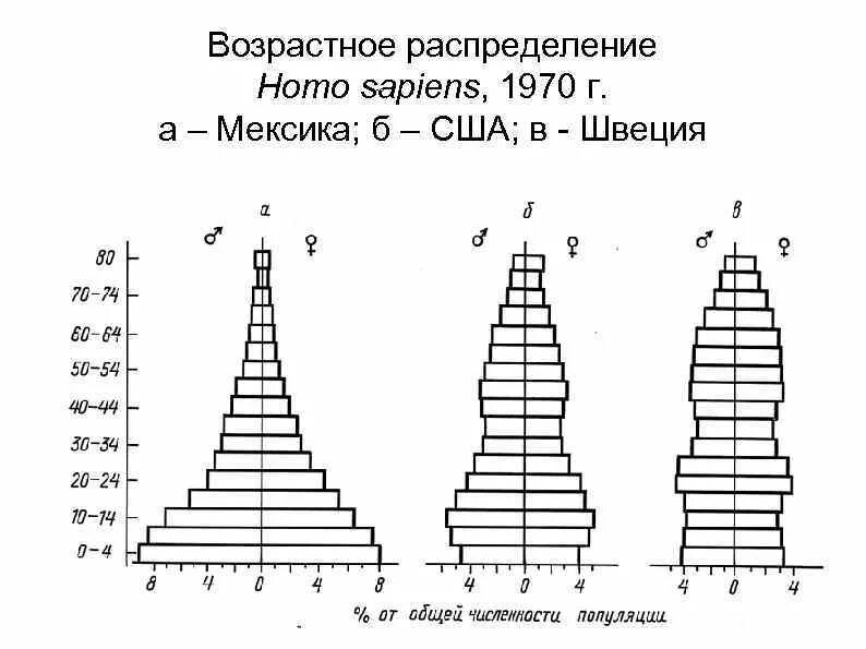 Характеристика популяций возрастная структура. Возрастная структура популяции схема. Возрастная пирамида популяции. Половозрастная структура популяции. Возрастная и Половозрастная структура популяции.