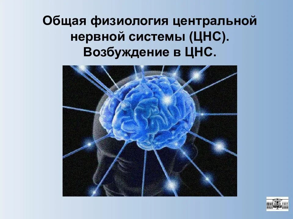 1 функции цнс. Общая физиология центральной нервной системы. возбуждение в цнс. возбудимость центральной нервной системы. возбуждение в центральной нервной системы физиология.