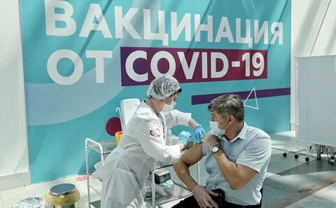 Вакцинация 2024 обязательная