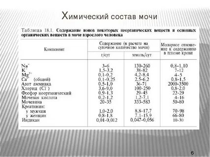 Хим состав почек
