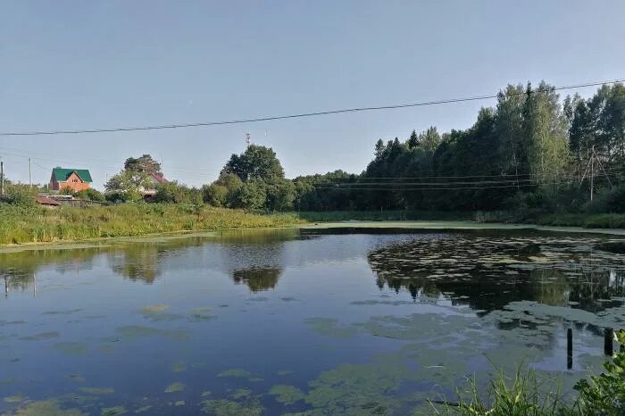 Хомяков деревня. Жуков пруд Калужская область. Пруд в Жуково Калужской области. Жуковский пруд город Жуков. Жуков пруд Минусинск.