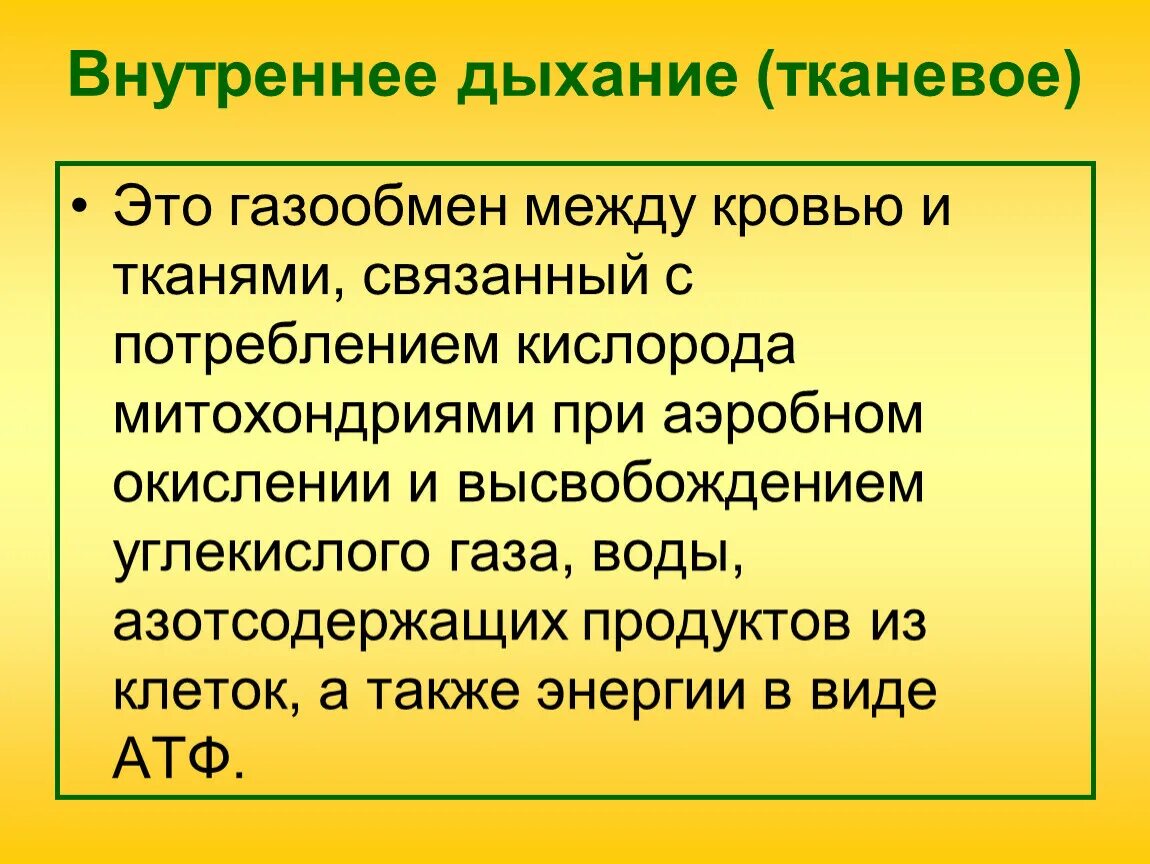 Процесс внутреннего дыхания. Внутреннее дыхание. Внутреннее тканевое дыхание. Внутреннее дыхание это газообмен между. Внешнее и внутреннее дыхание.