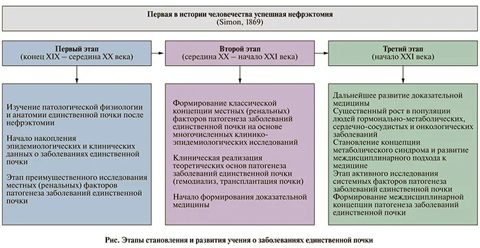 Почки научная статья. Основные виды урологической патологии. Викарная гипертрофия правой почки единственной.