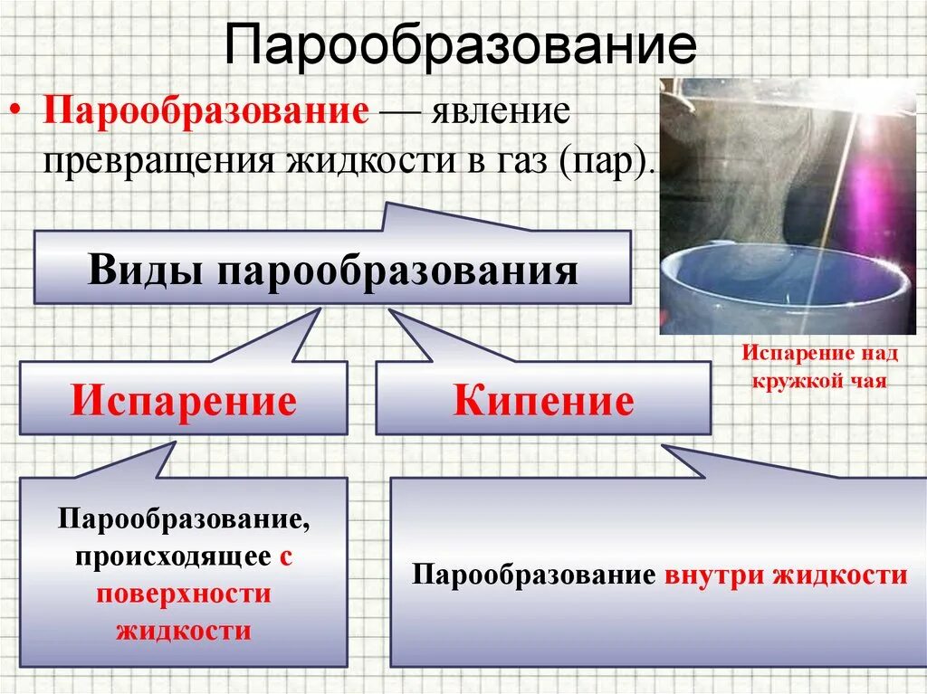 Испарение вещества. Испарение физика. Процесс парообразования. Явление парообразования.