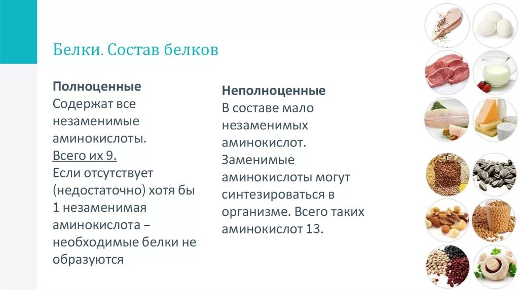 Незаменимые аминокислоты в составе белков. Структура белкового питания. Белки полноценные и неполноценные таблица. Классификация белков полноценные и неполноценные.