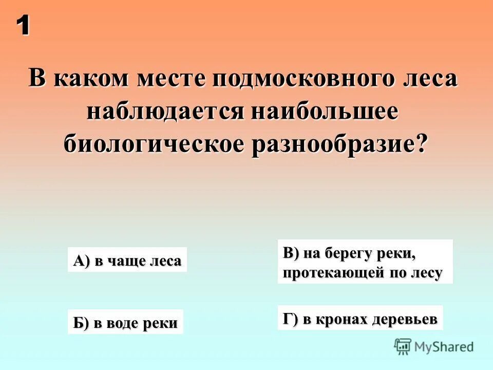 частый лес предложения