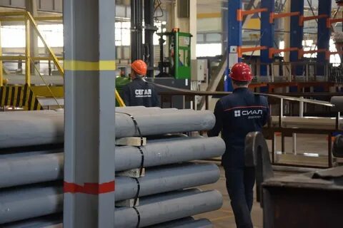 Сиал красноярск