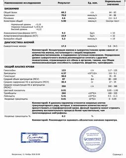Гемотест анализ на антибиотики